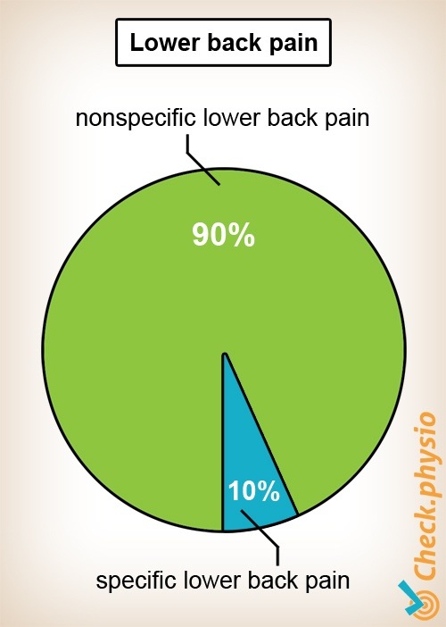 Rücken Kreuzschmerzen unspezifisch spezifisch Kreisdiagramm