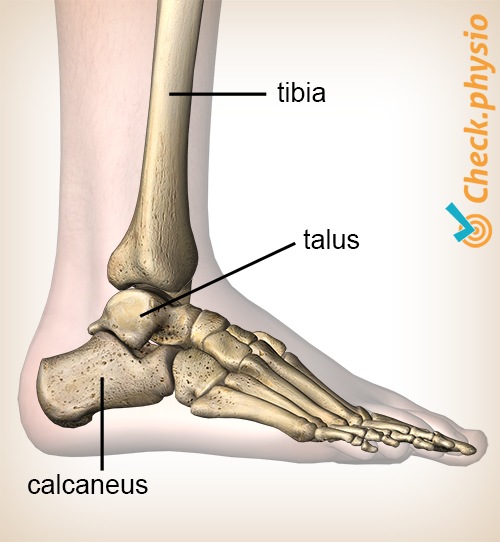 Knöchel posteriores Impingement